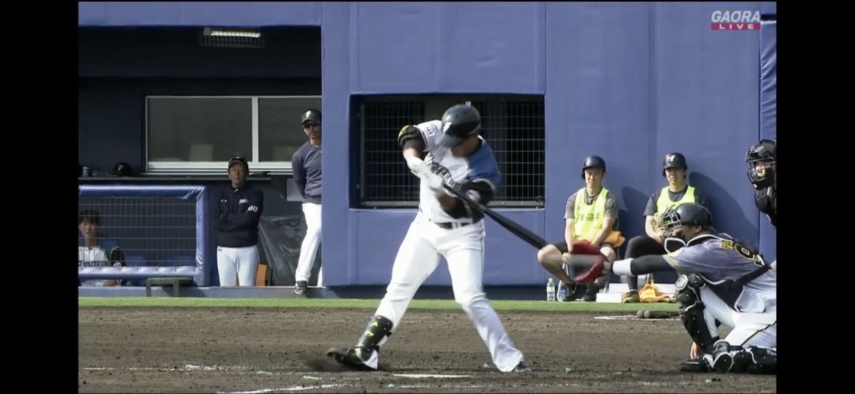 王柏融被觸身球砸中。（圖／取自網路）