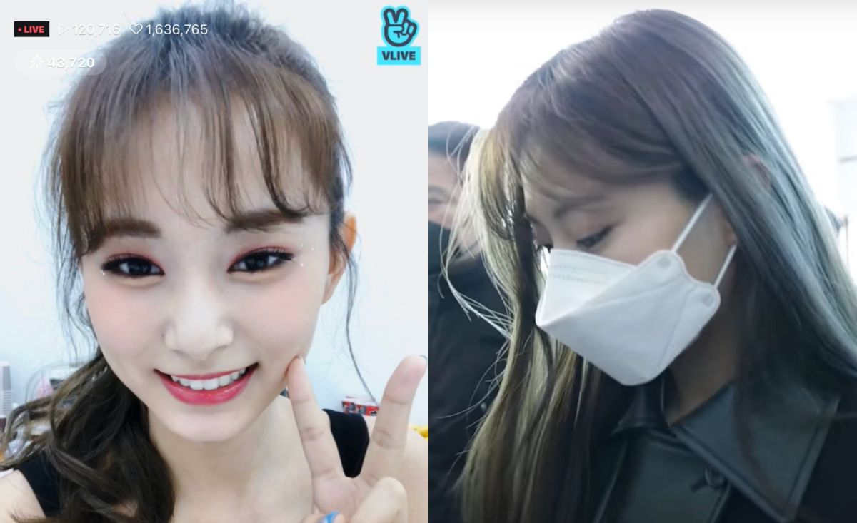 ▲子瑜中文喊話戴口罩，粉絲想GET同款。（圖／VLIVE、Newsen YouTube）
