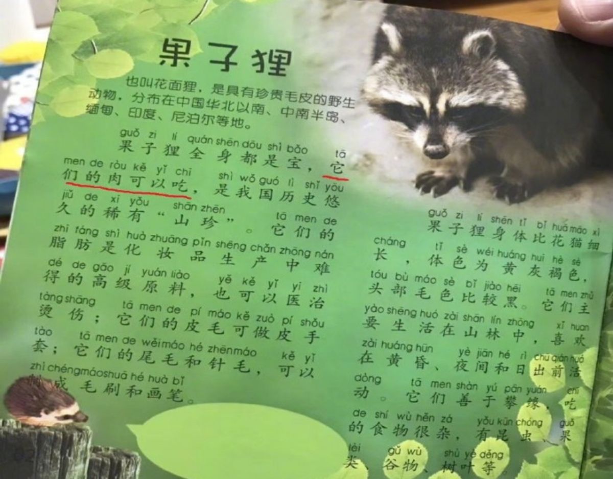 ▲由武漢大學出版社出品的《動物小百科》，裡頭教導果子狸的各種用途，包含食用。引發爭議。（圖／翻攝自微博）