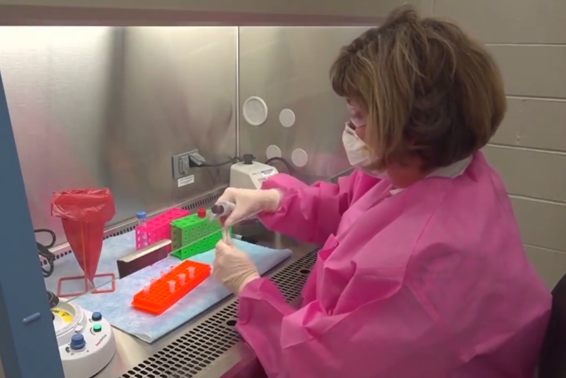 ▲美國伊利諾州病毒實驗室主管珍妮佛·克魯（ Jennifer Crew ）博士。（圖／翻攝梨視頻）