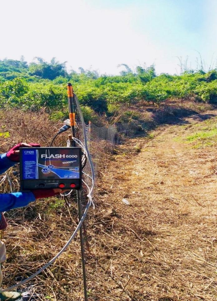 嘉縣府鼓勵農民申請補助　設置電圍網防猴害
