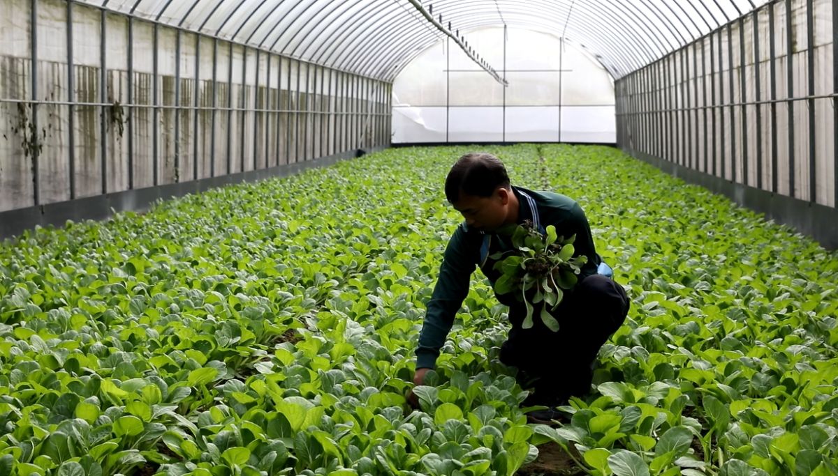 ▲新北果菜公司積極接洽各鄰里社區、公司行號，讓營養午餐有機小農有更多銷售通路。（圖／新北果菜公司提供）