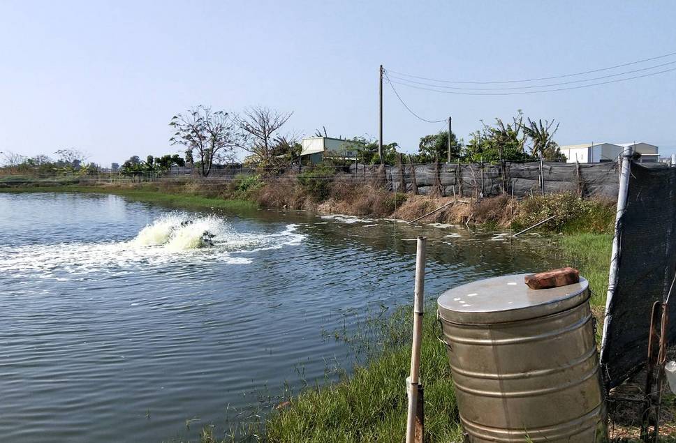 ▲嘉義縣農業處因應酷熱突然轉寒籲請養殖漁業防寒，增加魚塭北側搭蓋防風棚。(圖 / 嘉義縣政府提供)