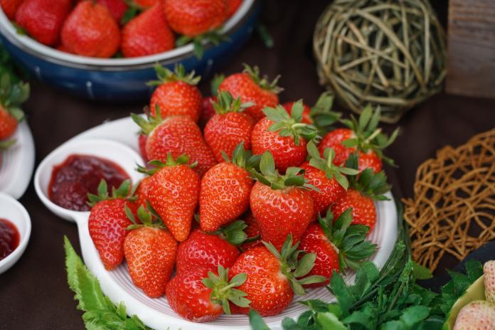 ▲內湖草莓季今（ 15 ）日起正式登場，為吸引民眾採草莓，當地農友將草莓季 DIY 活動營造成「田園鄉村風」，並舉辦草莓小公主、小王子選拔。（圖／內湖區農會）