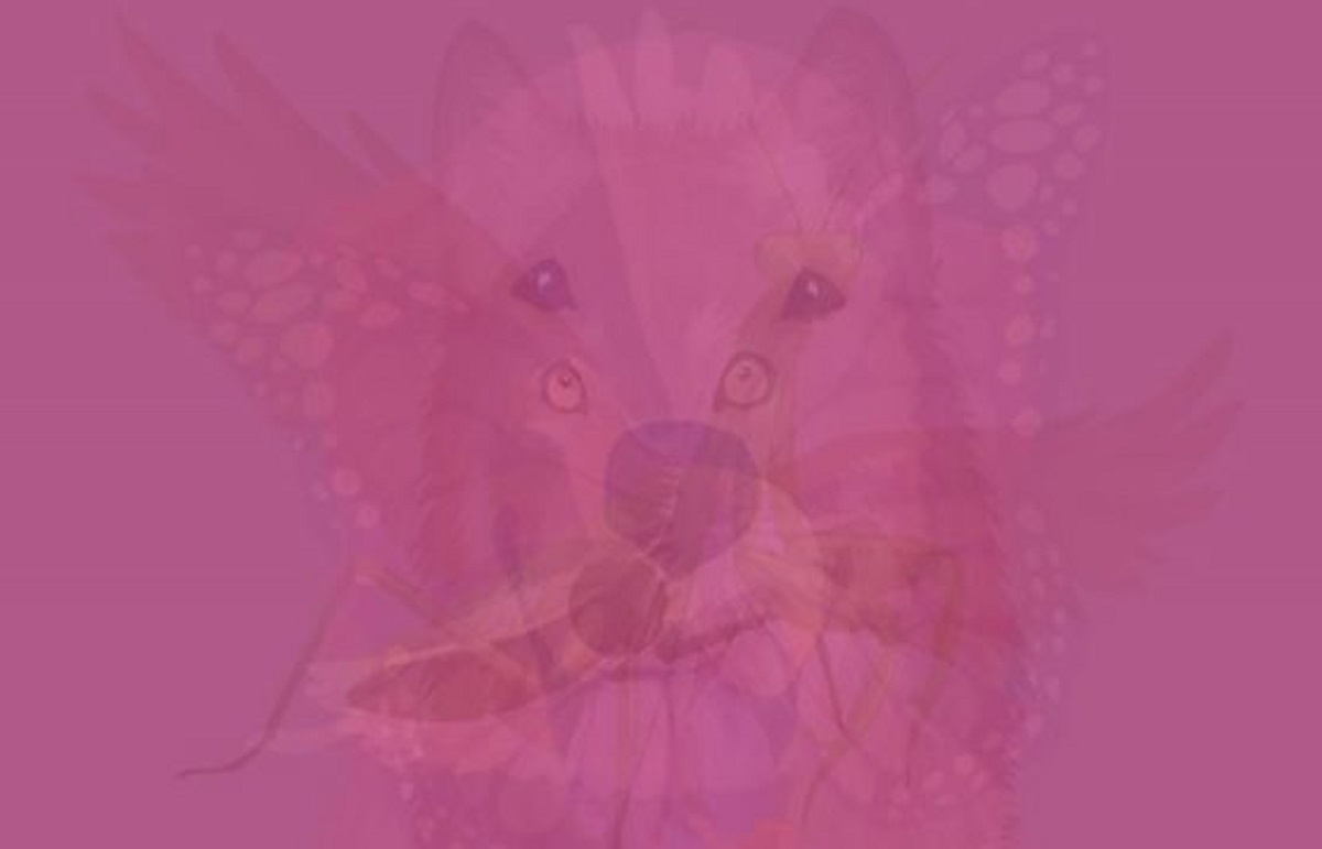 ▲第一眼看到哪隻動物？秒解你的「潛在個性」。（圖／翻攝自VIDAORANGE）