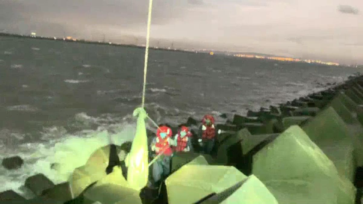 ▲成功大學鯨豚研究中心人員判定品種為瓶鼻海豚，將鯨豚屍體吊掛載運回成功大學鯨豚研究中心做解剖研究，以釐清死因。（圖／記者陳雅芳翻攝，2020.02.17）