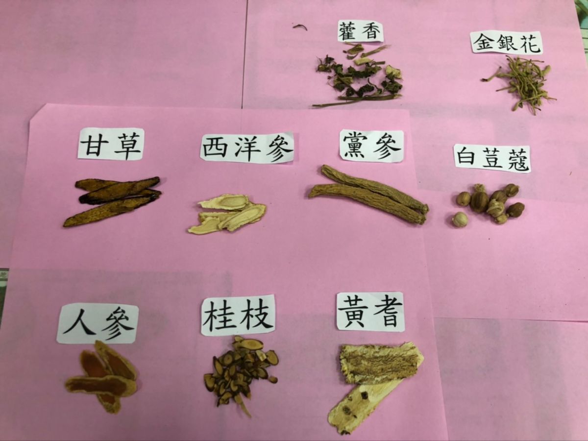 ▲中醫生理的五臟六腑中，與外感免疫最相關應屬肺、脾。肺氣，中醫師提醒，足夠的營養讓肺氣的防禦能量能有源源不絕的補充。（圖／記者陳雅芳攝，2020.02.18）