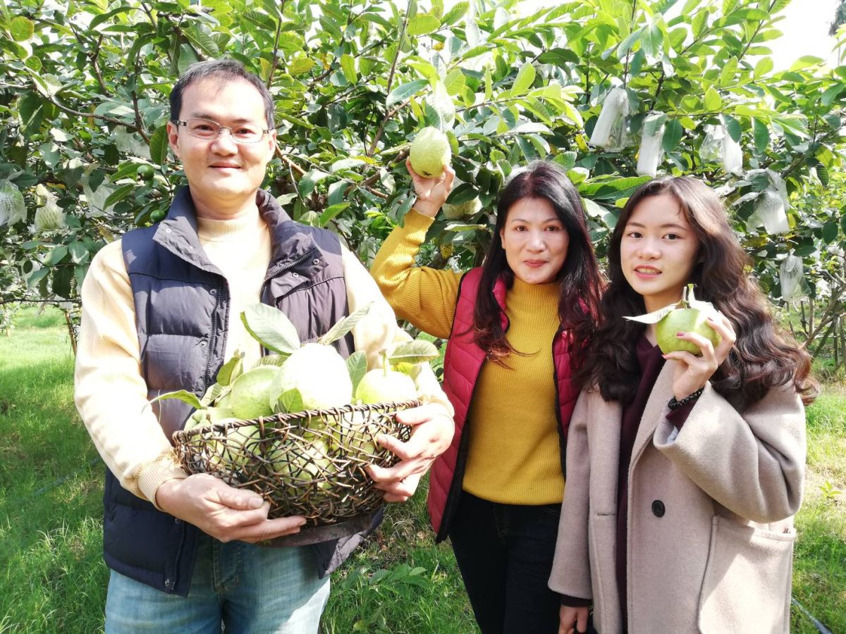 ▲嘉義巿傑出農民黃沛晴與夫婿邱明騰經營無毒芭樂園，產銷健康鮮甜芭樂給消費者，右為女兒邱依瑄。（圖/記者邱嘉琪攝，2020.02.18）