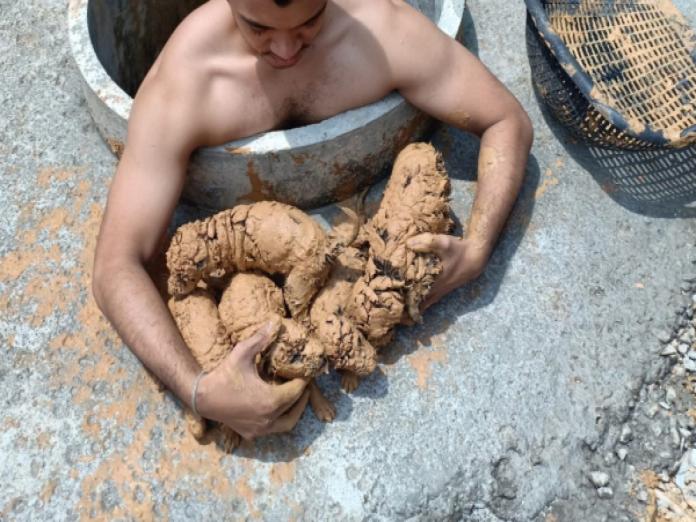 泰國一男子日前跳入工地井裡抱出5顆「泥巴球」（圖／coconuts.co）
