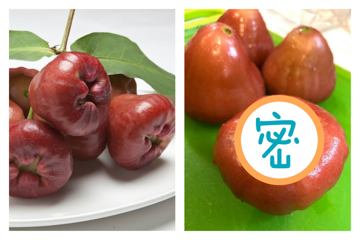 ▲（圖／翻攝自爆廢公社， Pixabay ）