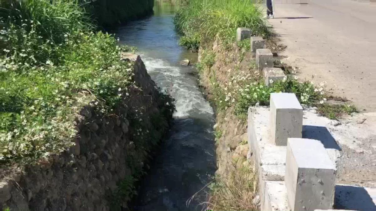 ▲因貓羅溪堤岸往河川退縮，導致多條區域排水無法銜接至貓羅溪匯流口，芬園鄉廣大農田，農田淹沒作物損壞。（圖／記者陳雅芳攝，2020.02.26）