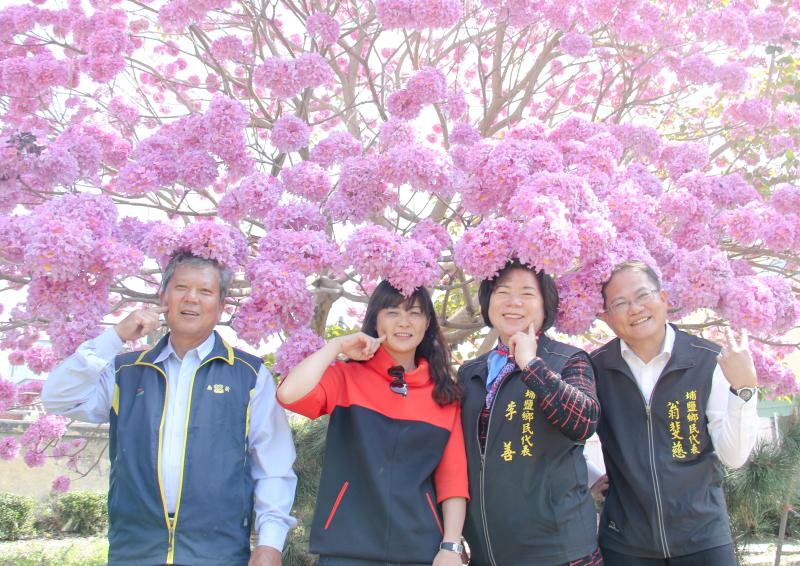 紅花風鈴木