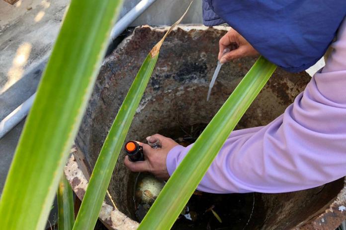 ▲屈公病全球疫情升溫！截至2025年8月4日止，台灣共累計16例屈公病病例。（圖／台南市衛生局提供）