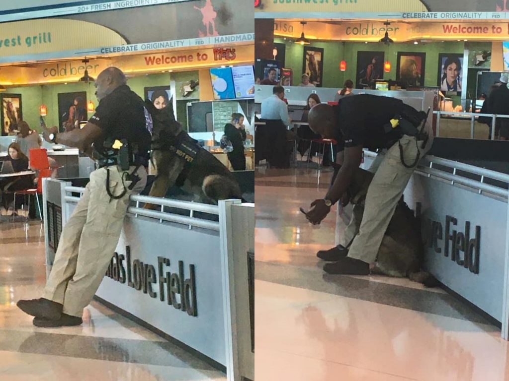 吉娜捕捉到安德烈和Zigi一起自拍的可愛畫面。（圖／Facebook@Gina Anzaldua Stevenson） 