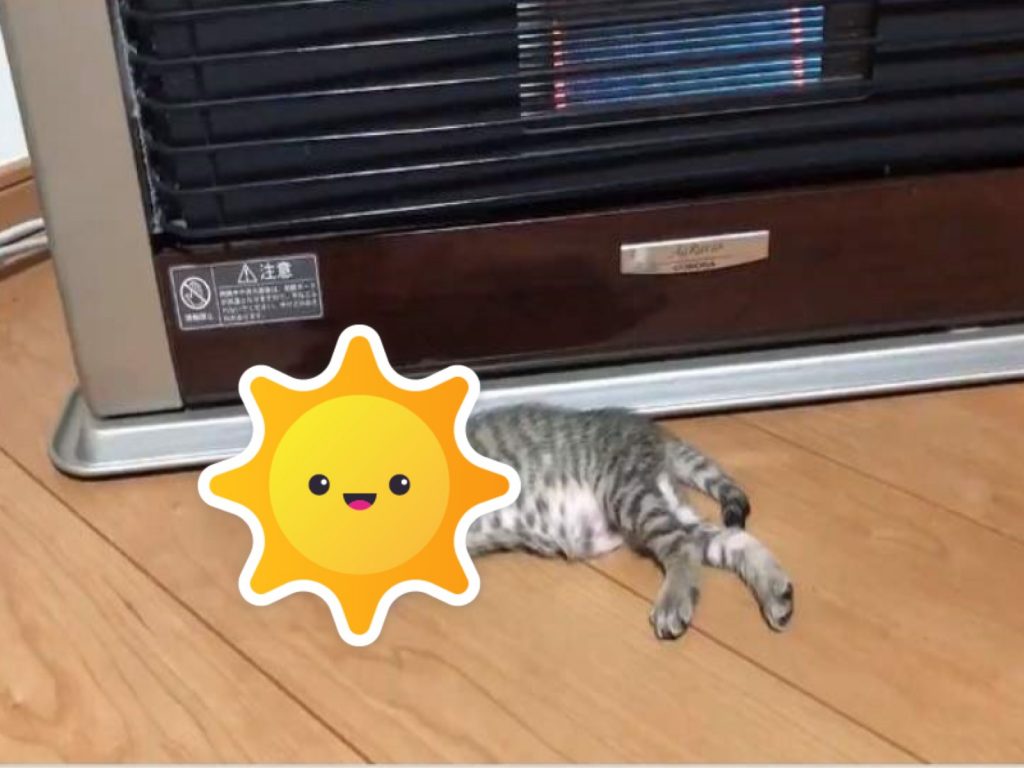 小奶貓已經知道暖爐前最溫暖（圖／twitter@hotatemamasan）