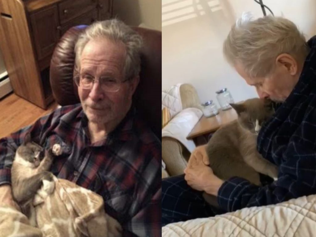 貓咪穆休陪伴罹患阿茲海默症的把拔（圖／The Dodo、FB@Alzheimer’s Society）