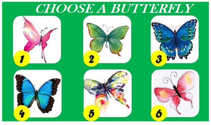 ▲選一隻你最喜歡的蝴蝶？測出你的「潛在性格」。（圖／翻攝自Evolve Me ）
