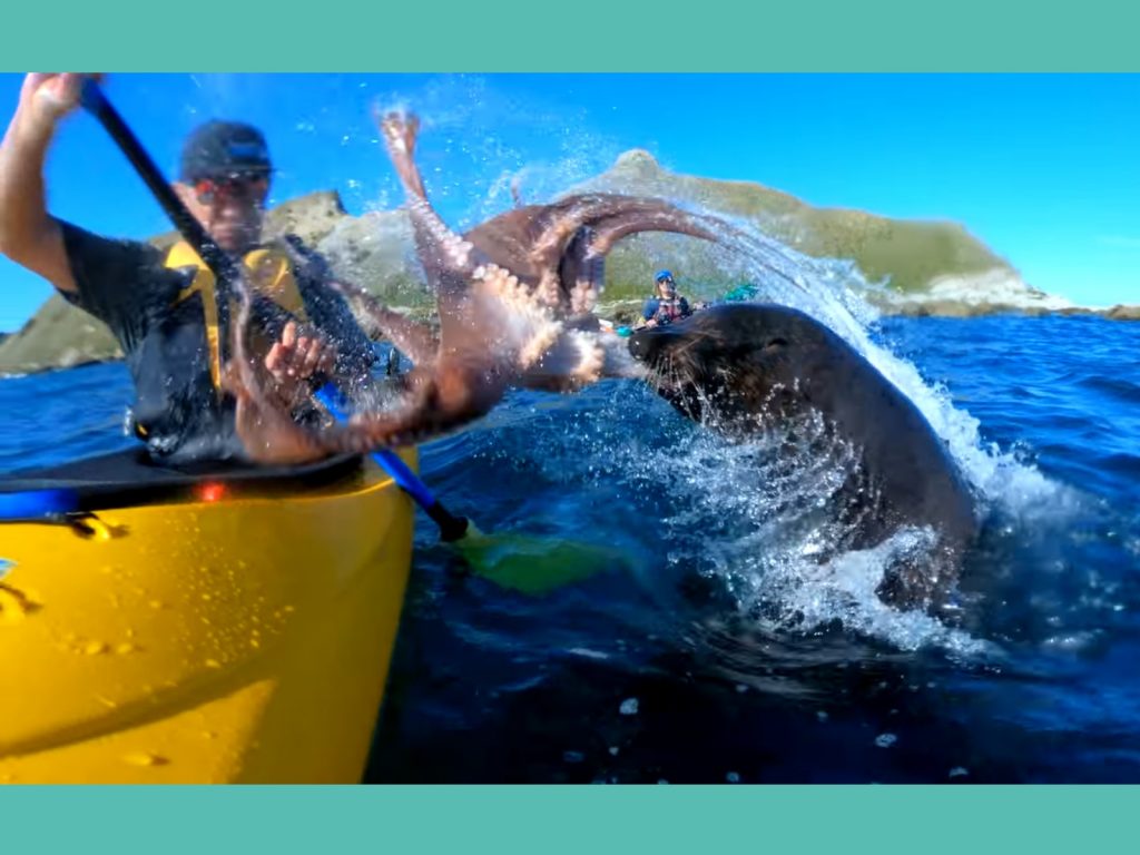 （甩）先生您的外送來囉！（圖／Youtube@Taiyo ‘T’ Masuda） 