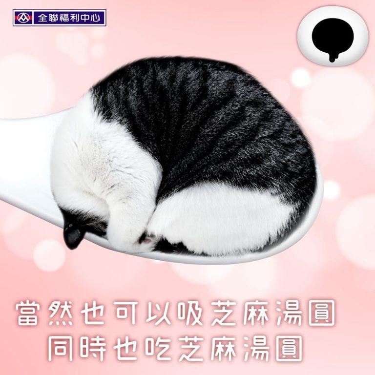 吸貓還是吸湯圓？量販店元宵節文宣好療癒！