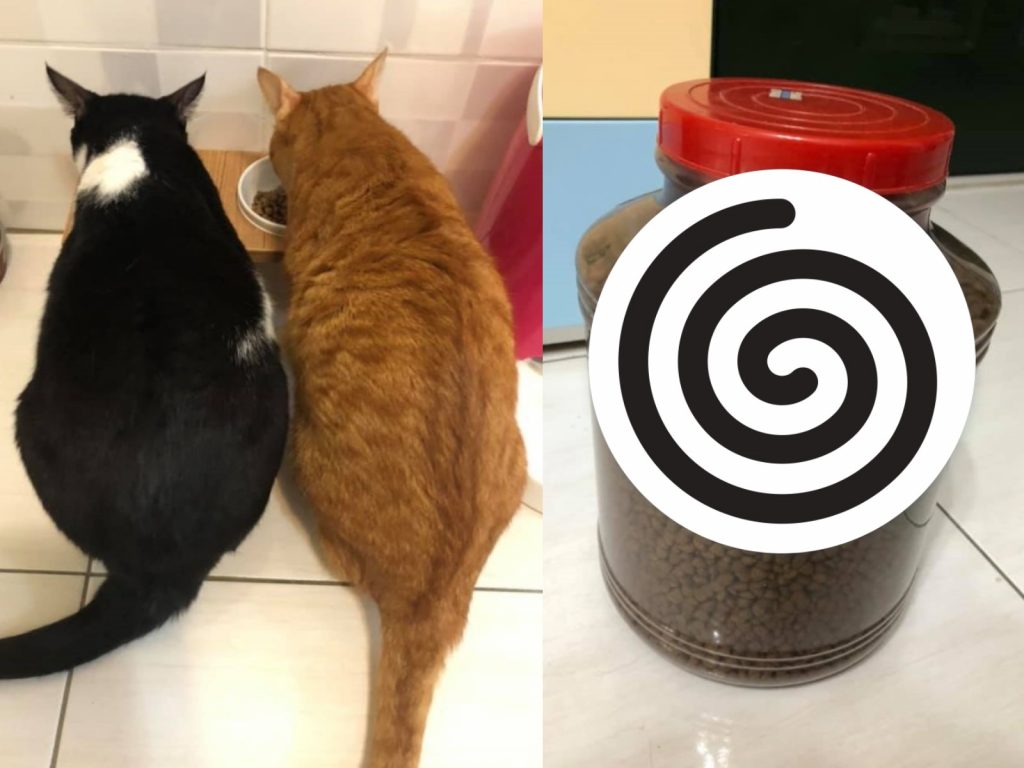 網友廖芷婕家中的飼料桶被貓咪咬出一個大洞！（圖／網友廖芷婕授權提供）