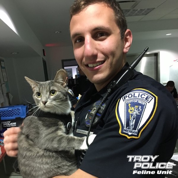 美國警局任命小喵為「波麗士貓大人」　敦親睦鄰全靠牠！