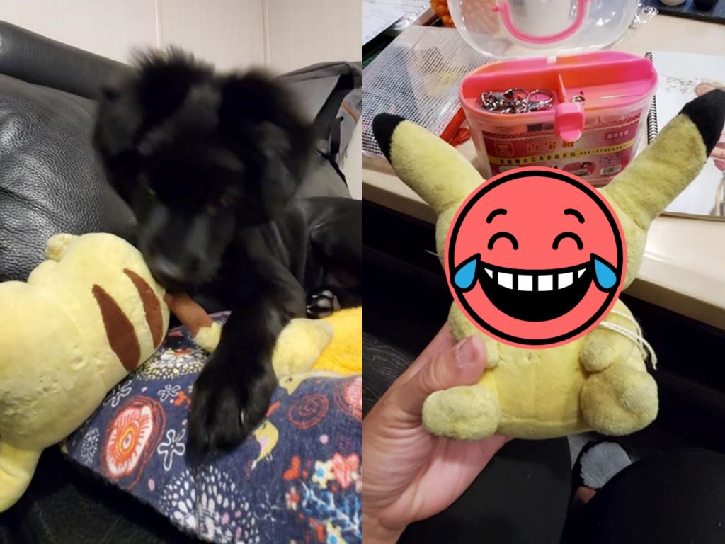 親愛的！尼沒事吧？嗚嗚嗚～（圖／網友羅晨晨提供） 