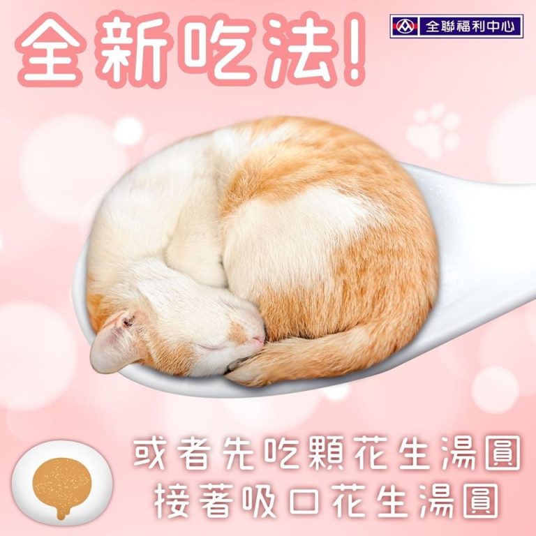 吸貓還是吸湯圓？量販店元宵節文宣好療癒！