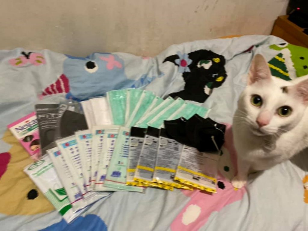 這下不但不能罵主子，反而要好好稱讚牠一番了～（圖／粉專小吉與砂糖提供） 