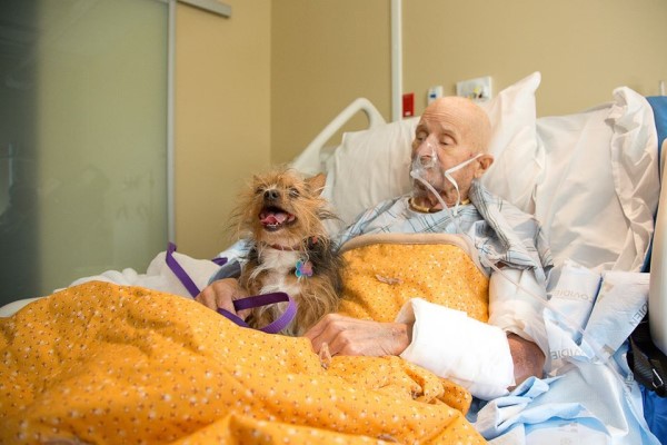 老人住進安寧病房　與愛犬再見一面：「最放心不下你！」