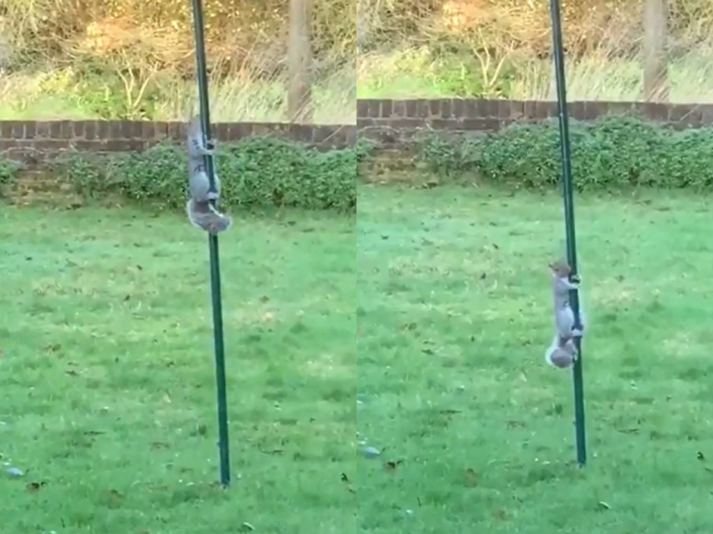 爬爬爬～偶一定可以der～（圖／Twitter@yusai00） 