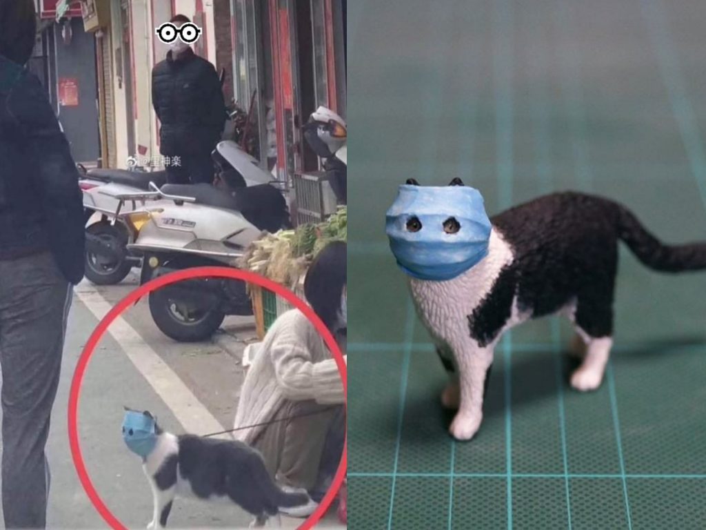 防疫不忘毛孩！飼主幫貓咪戴口罩　模樣太獵奇還被公仔化！