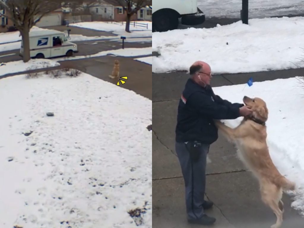 慕斯：郵差叔叔，每天都要開開心心的哦！（圖／IG@the.life.of.moose） 