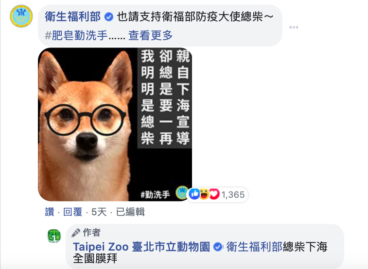 ▲衛福部也抽空推薦代表「總柴」| The Ministry of Health and Welfare promote their spokesdog, Zongchai (FB/ Taipei Zoo)