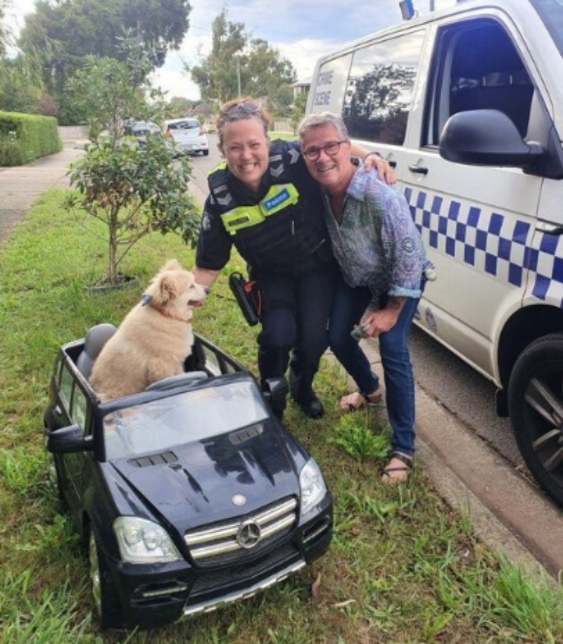 驚見狗狗在小車車中獨自行駛　警方認定「危險駕駛」上前盤查！