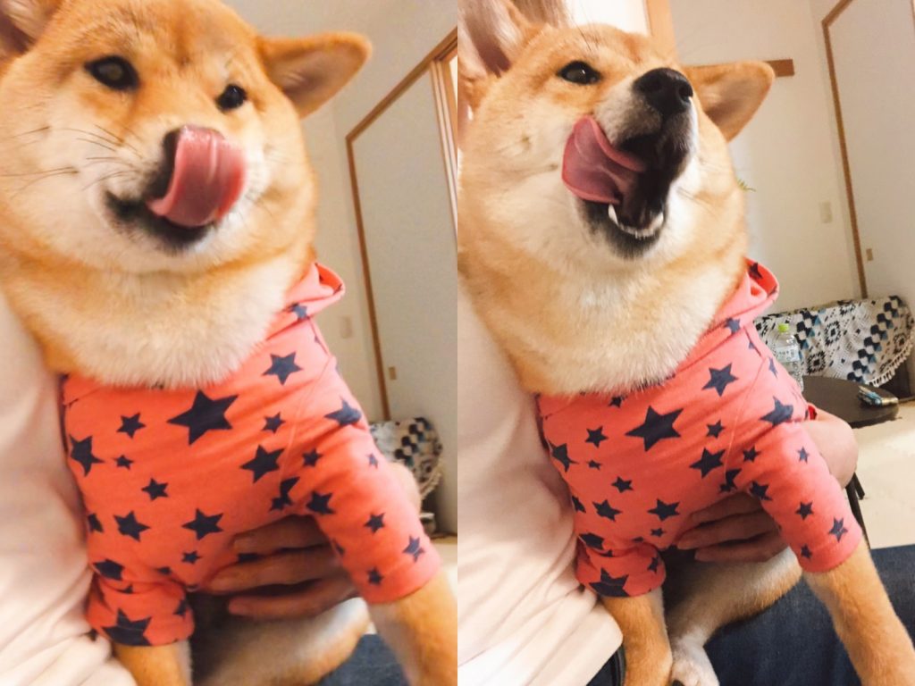 老公：啊啊啊～孩紙你怎麼變這樣？不要嚇把拔啊～ 龍乃子姫：好吃好吃好吃……還要還要還要…… （圖／Twitter@TACHUNOKOHIME） 