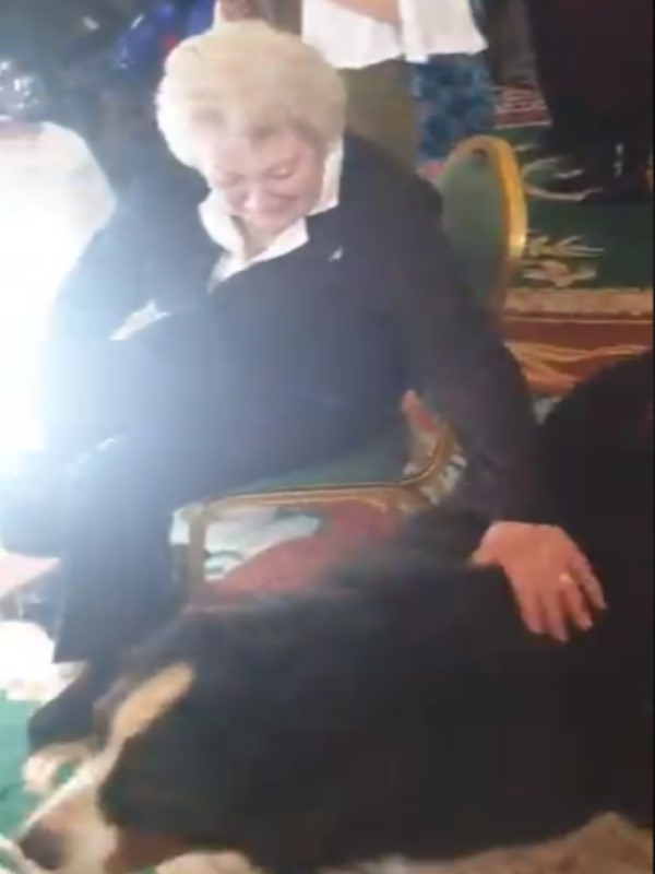 愛爾蘭總統出席婦女節活動　遭愛犬亂入翻肚討摸摸搶盡風采
