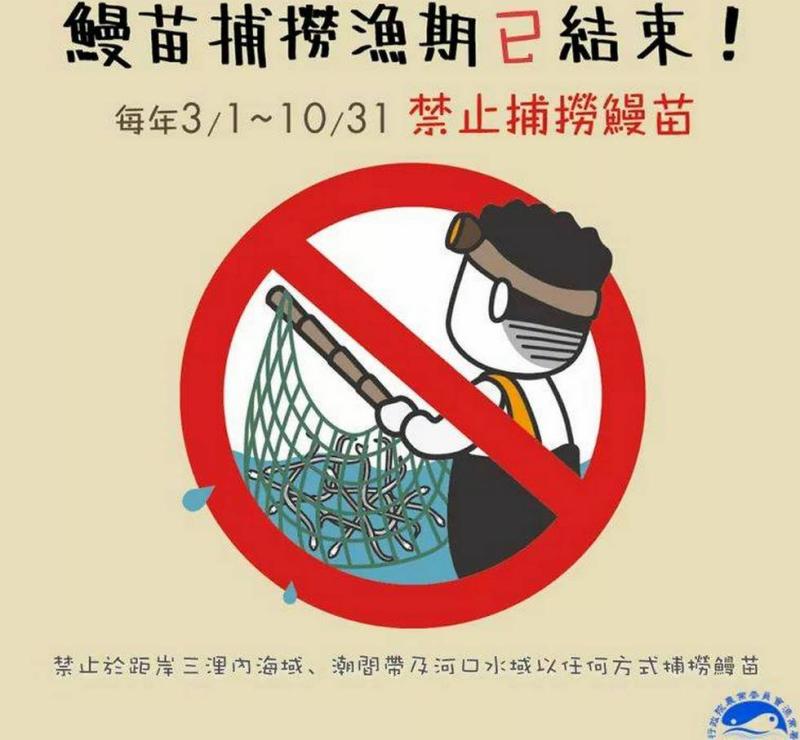 ▲嘉義縣提醒3至10月禁止鰻苗捕撈，花東除外鰻苗捕撈已結束。（圖／嘉義縣政府提供）