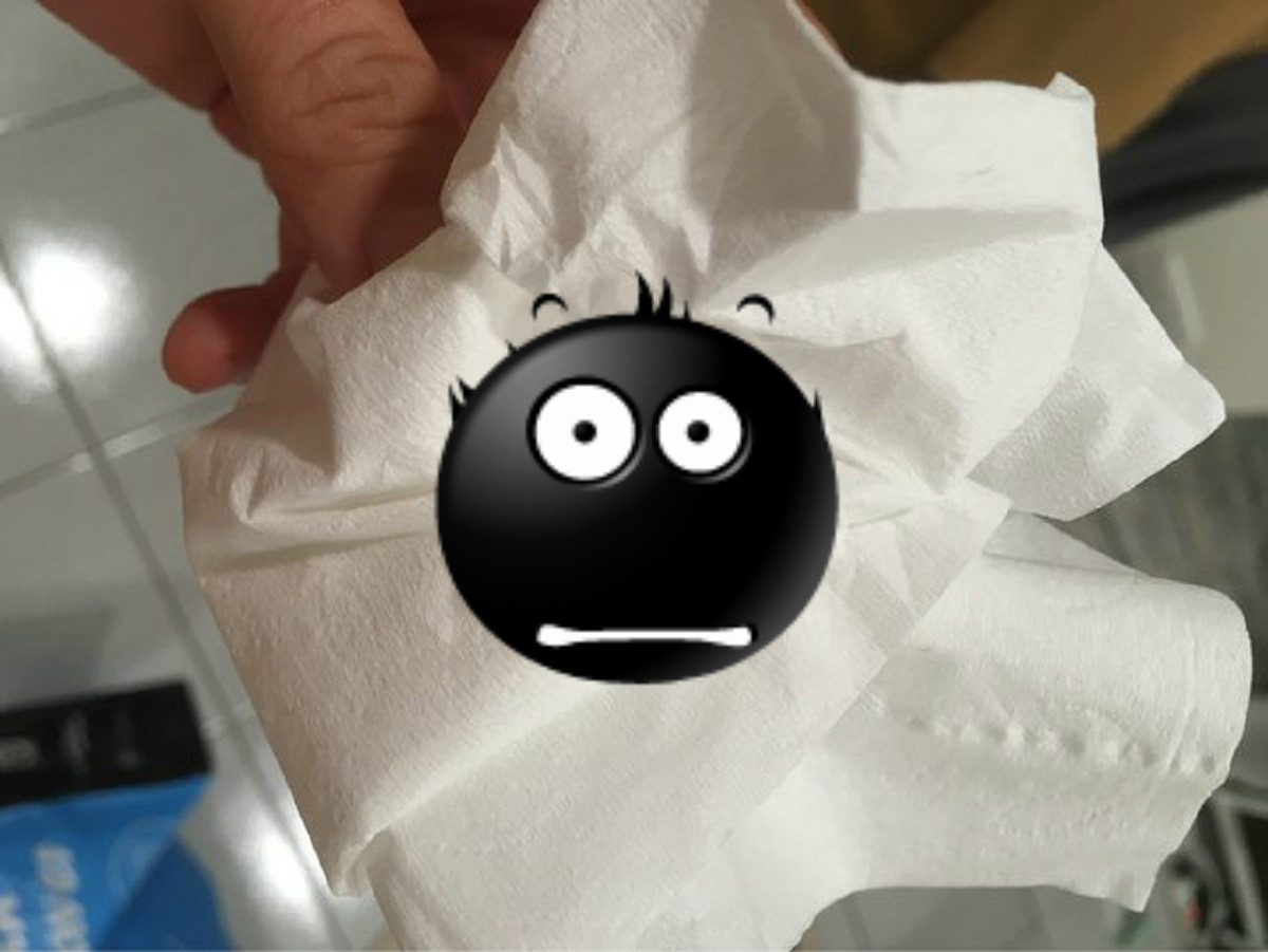 ▲房間內驚見「詭異蟲蛹」！內行一看神解：開除濕機就沒事。（圖／翻攝自PTT）