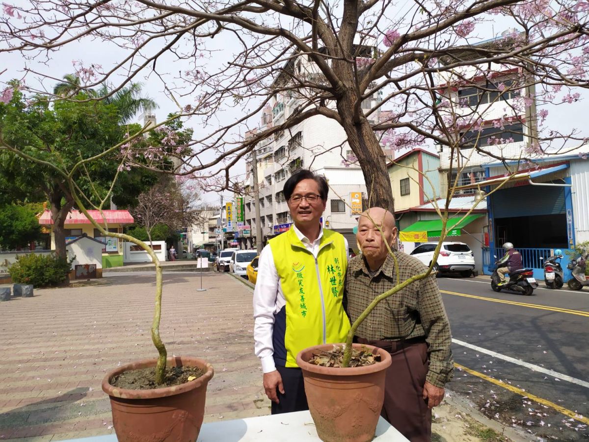 ▲彰化市長林世賢提出三年內種植三千棵洋紅風鈴木，打造彰化成美麗花都。（圖／記者葉靜美攝，2020.03.04）