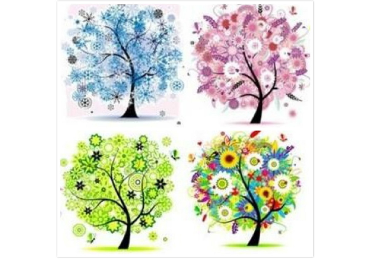 ▲憑直覺選一棵最喜歡的樹？一秒解析你近期的「工作、財運及愛情運勢」。（圖／翻攝自美日誌）