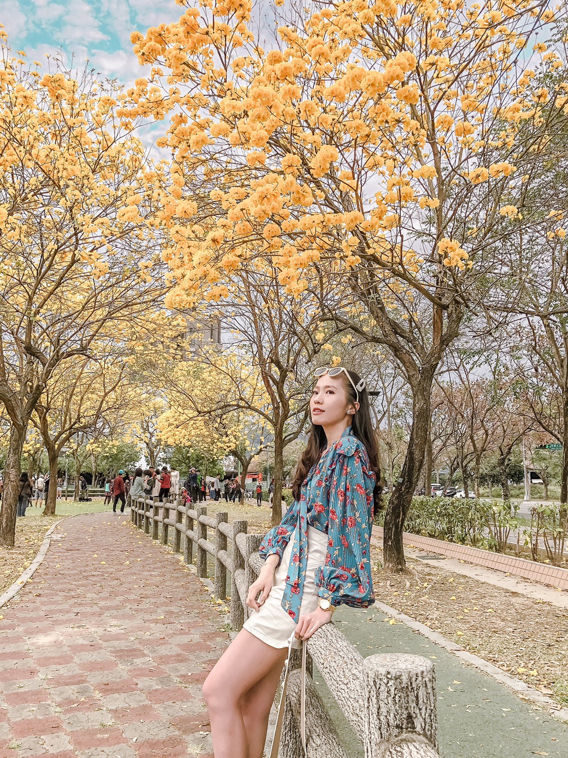 ▲中市北屯區廍子公園黃花風鈴木自2月底開始綻放 (圖／建設局提供2020.3.9)