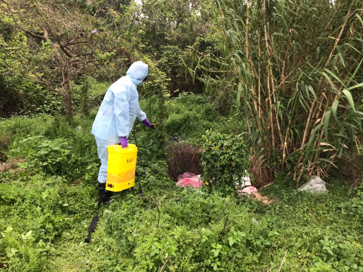 ▲金門蜈蚣山疑似民眾棄置動物內臟，惡臭讓人受不了，現場已由相關單位派員妥適處理並完成消毒。（圖／金門縣環保局提供）