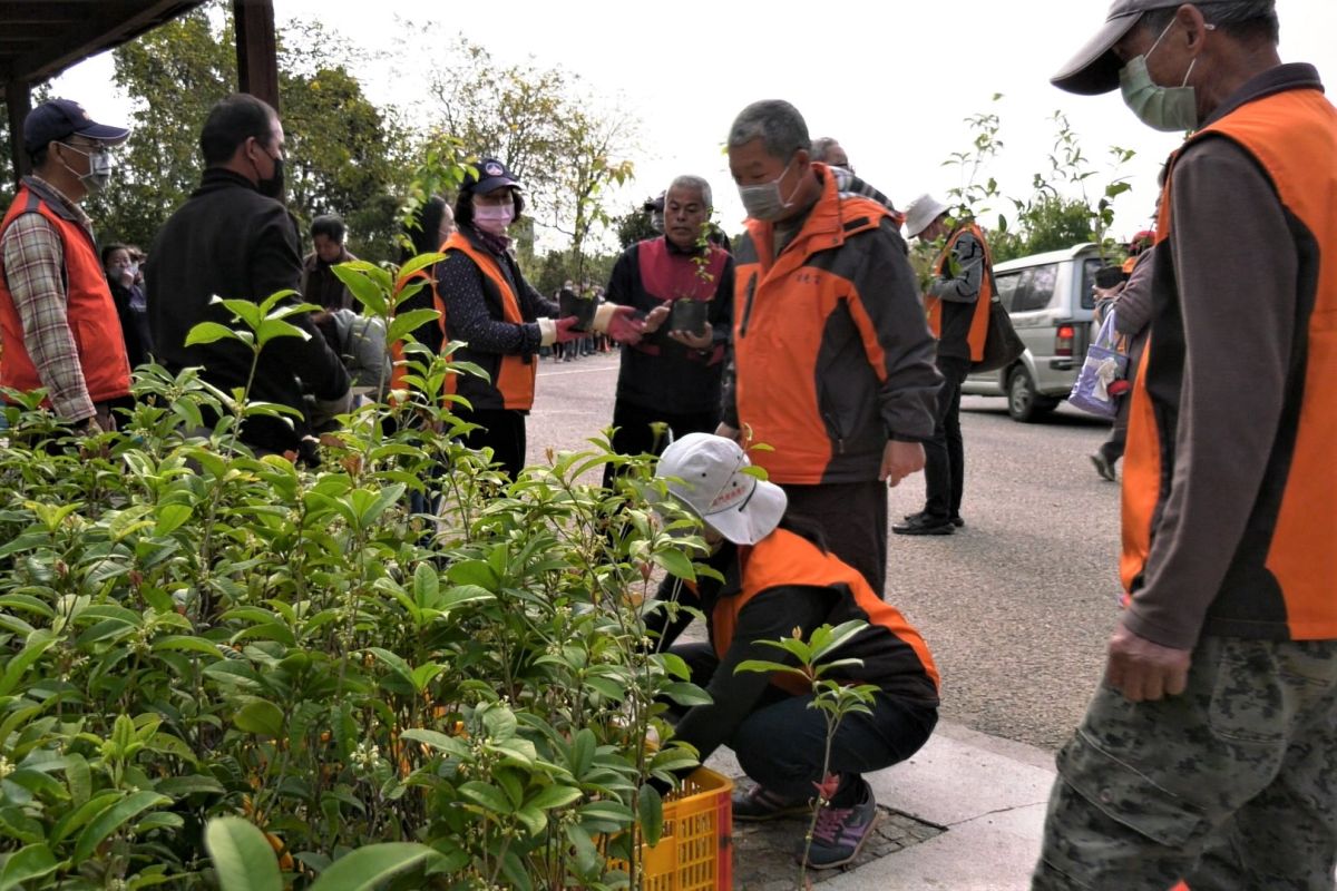 ▲金門縣林務所植樹月贈樹苗活動，共送出1,315人份，計2,630株苗木。（圖／蔡若喬攝, 2020.03.11）