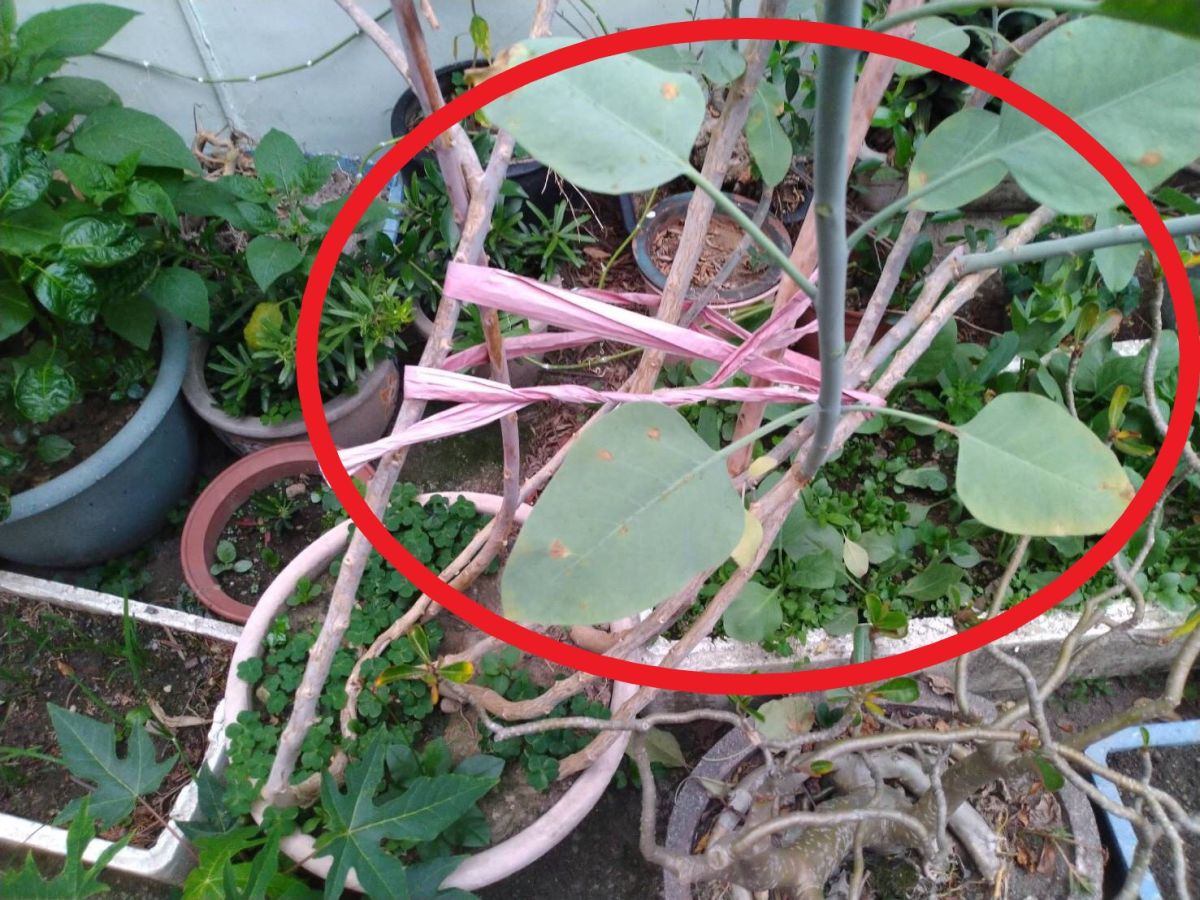 585860FA-22F6-442D-8888-4C9280C71F6E