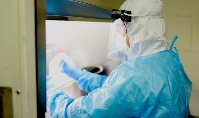 迅速檢驗肺炎病毒　竹竹苗唯一武漢肺炎病毒實驗室成立
