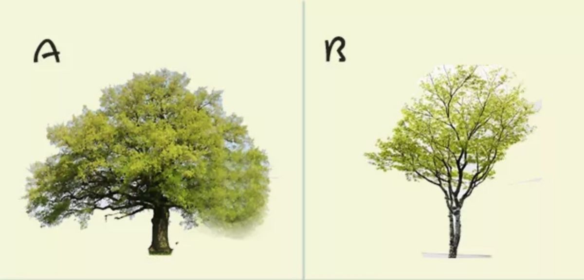 ▲（圖／翻攝自《蓋婭星球》）