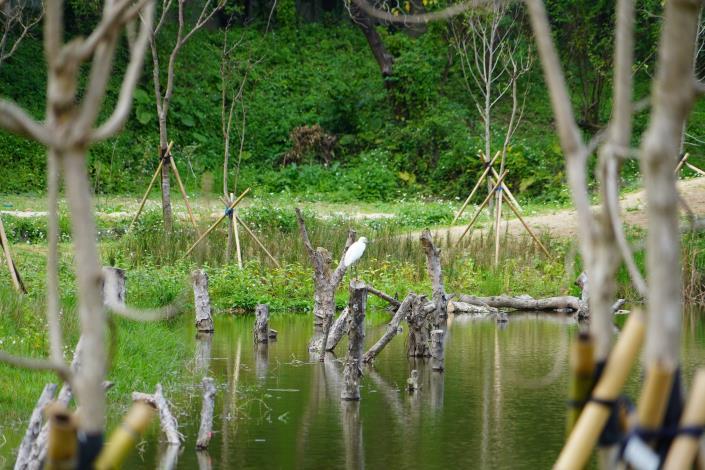 永春陂濕地公園(圖|翻攝自臉書臺北大縱走)