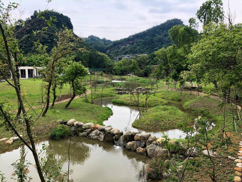 永春陂濕地公園(圖|翻攝自臉書臺北大縱走)