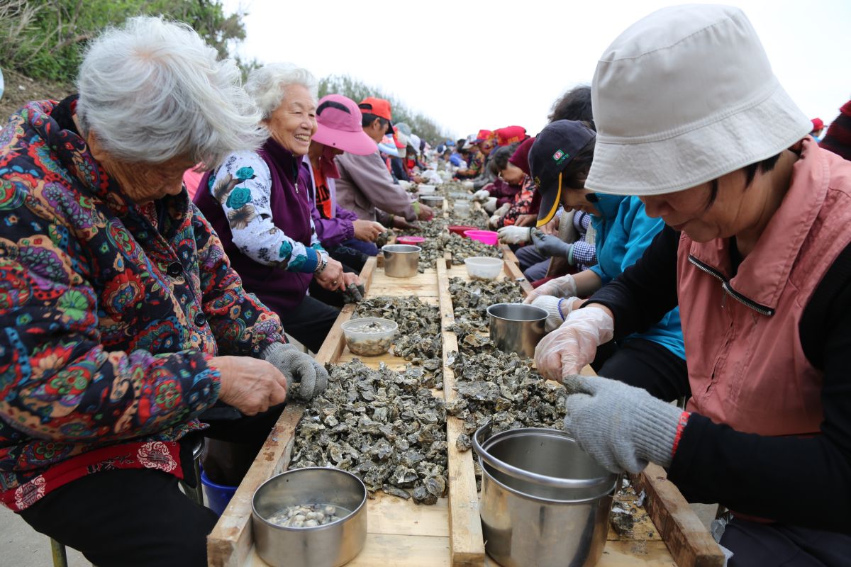 ▲金門金寧鄉2020石蚵小麥文化季因為肺炎疫情攪局，決定停辦。（圖／金寧鄉公所提供）