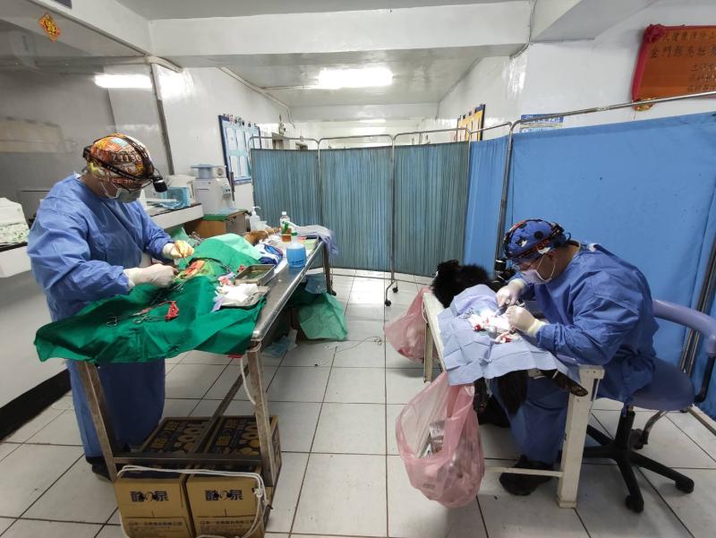 ▲金門防疫所近日登烏坵島上，為當地犬貓進行絕育手術及施打疫苗。（圖／金門防疫所提供）